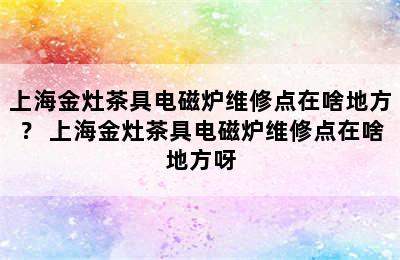 上海金灶茶具电磁炉维修点在啥地方？ 上海金灶茶具电磁炉维修点在啥地方呀